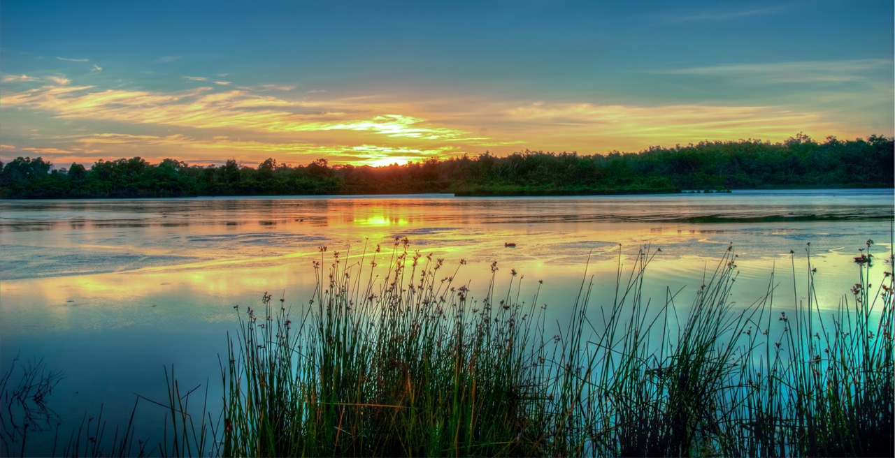  Yanchep National Park